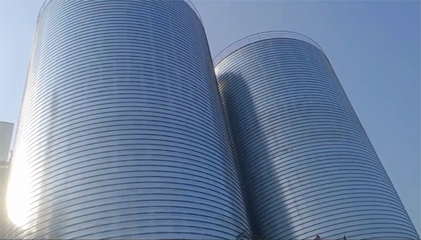 贵港2座混凝土高架卷板仓